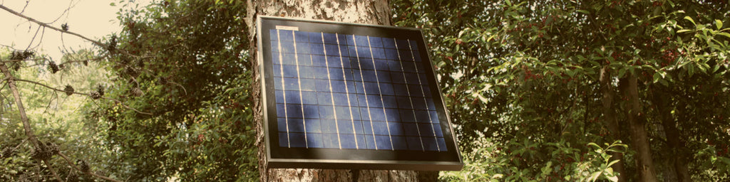 Solar Panel Size Requirements for Trail Cameras