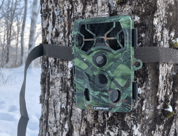 campark trail camera