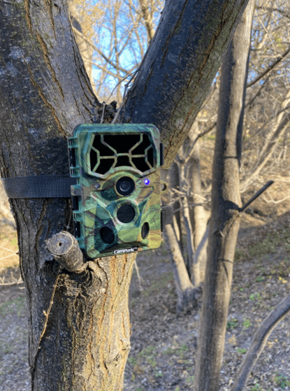 campark trail camera