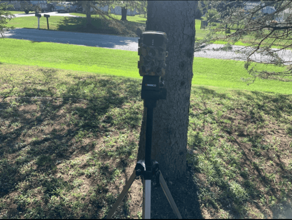 campark trail camera