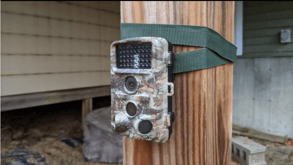 campark trail camera