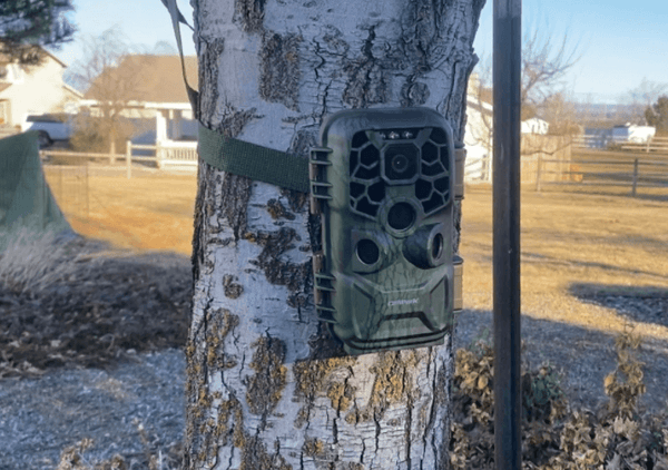 Campark Trail Camera in 2022