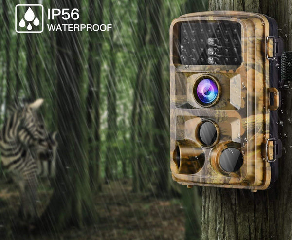 Capture the candid moments of wildlife acting natural By Trail Cameras