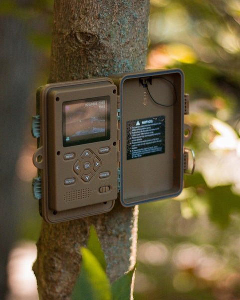 Top trail cameras for Hunting