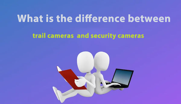 Trail Cameras vs Security Cameras: Which One Is Better For Home Security