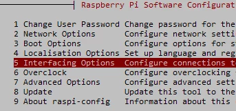 How to Enable I2C, SPI and Serial on Raspberry Pi