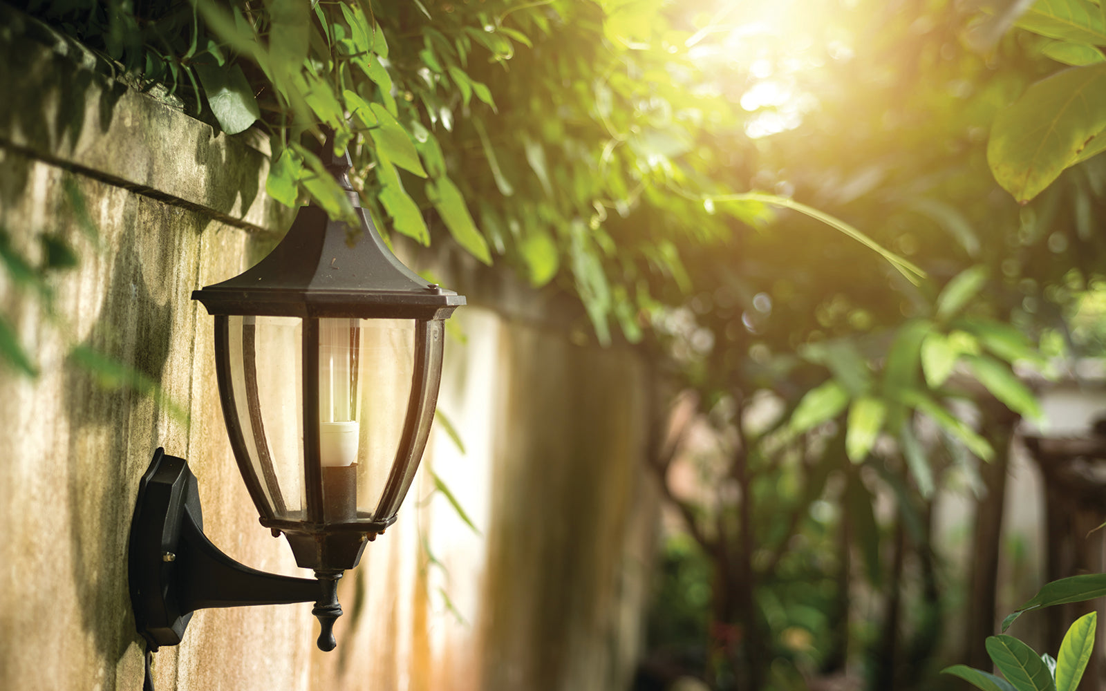 Outdoor Lighting Fixtures