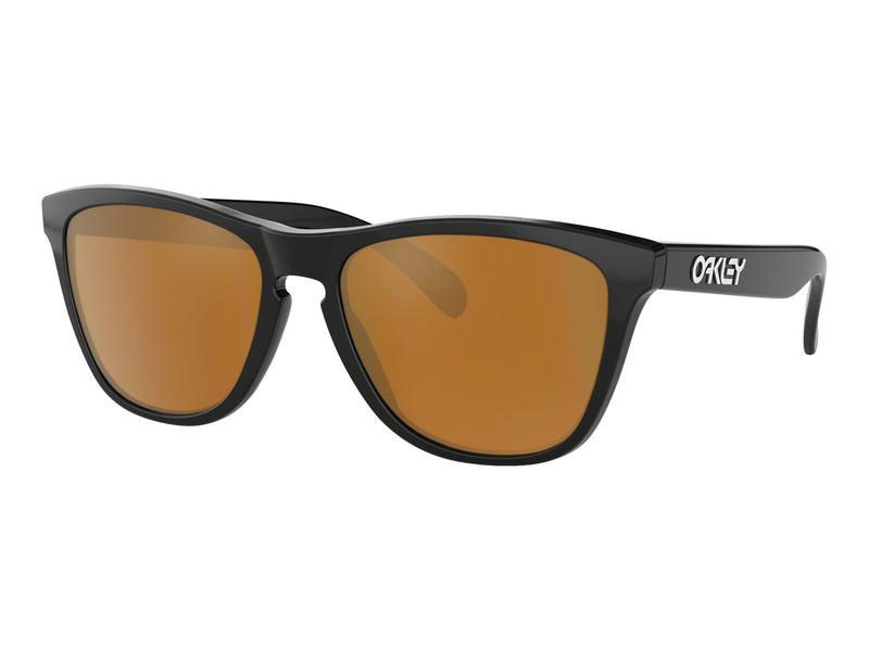 ray ban frogskin