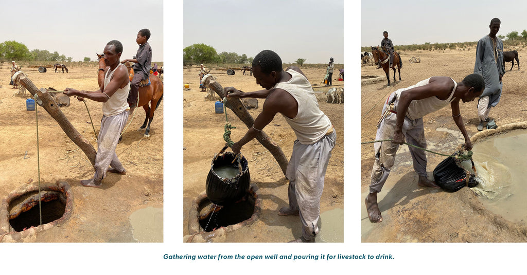 neverthirst blog - gathering water for livestock