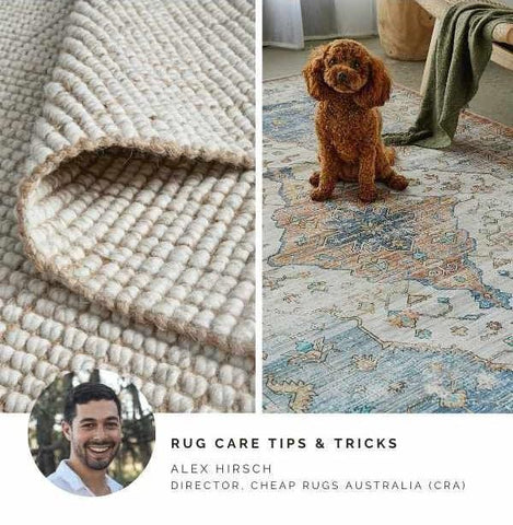 Care for your rug at home guide