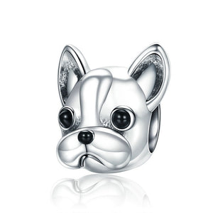 silver french bulldog