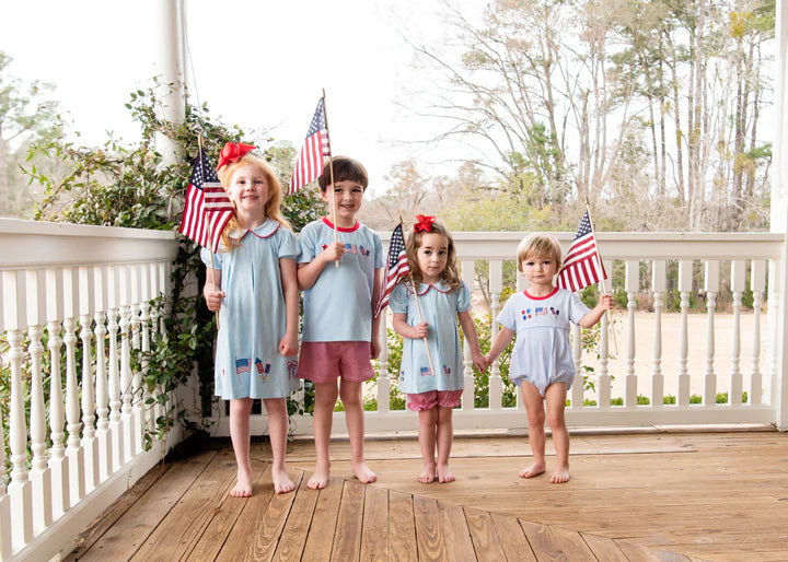 Patriotic Pleat Embroidered Dress