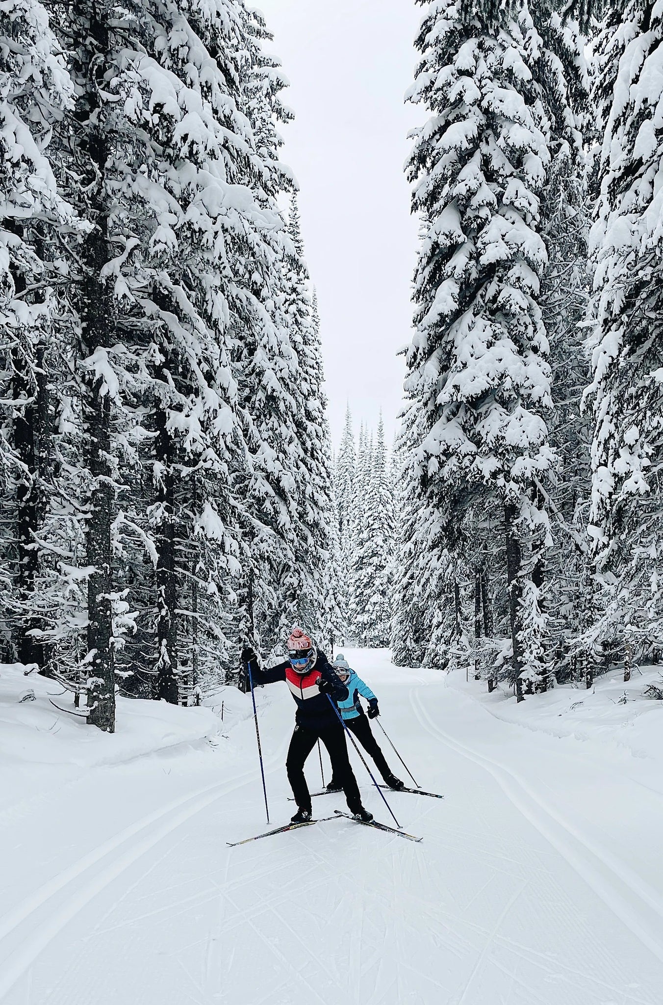 PROBAR Nordic Skiing