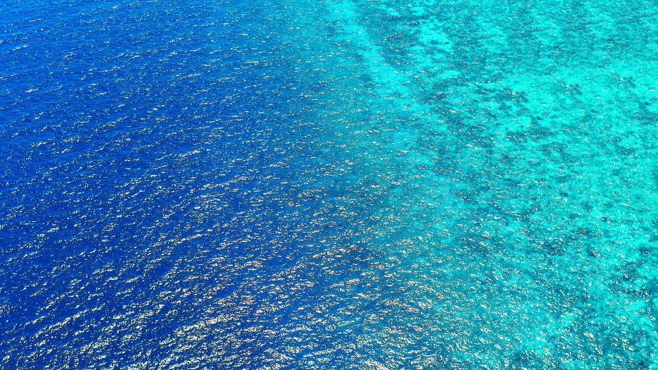 bird's eye view of sea water