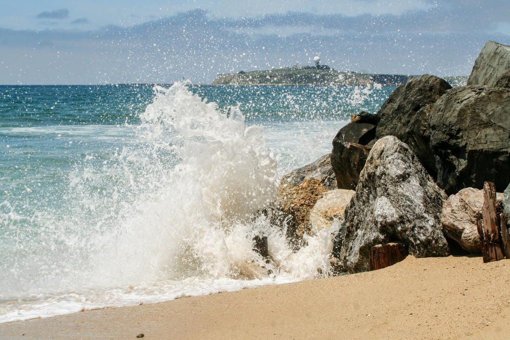 Exploring the Beauty and Versatility of California's Half Moon Bay