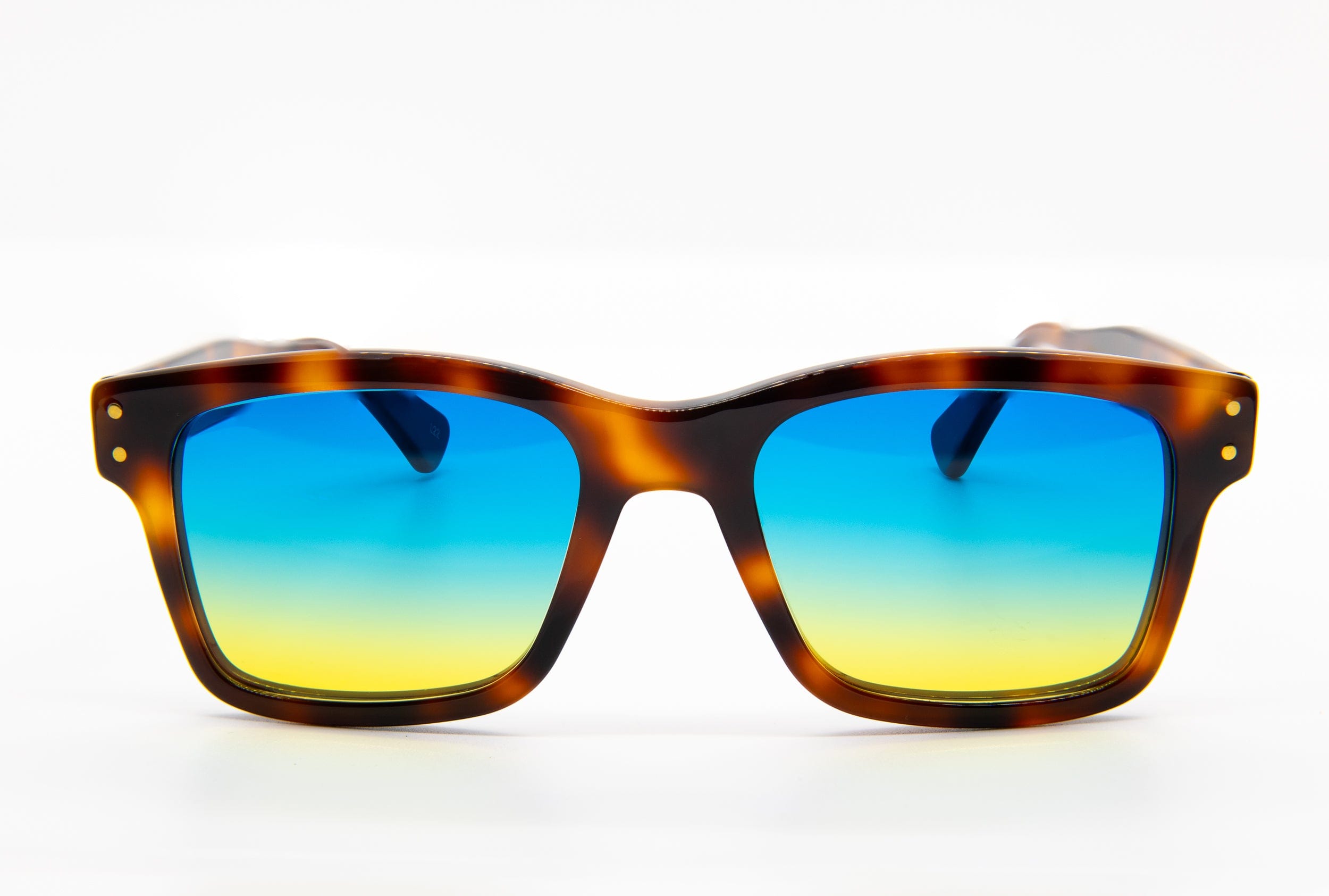Erato 2 in Tortoise