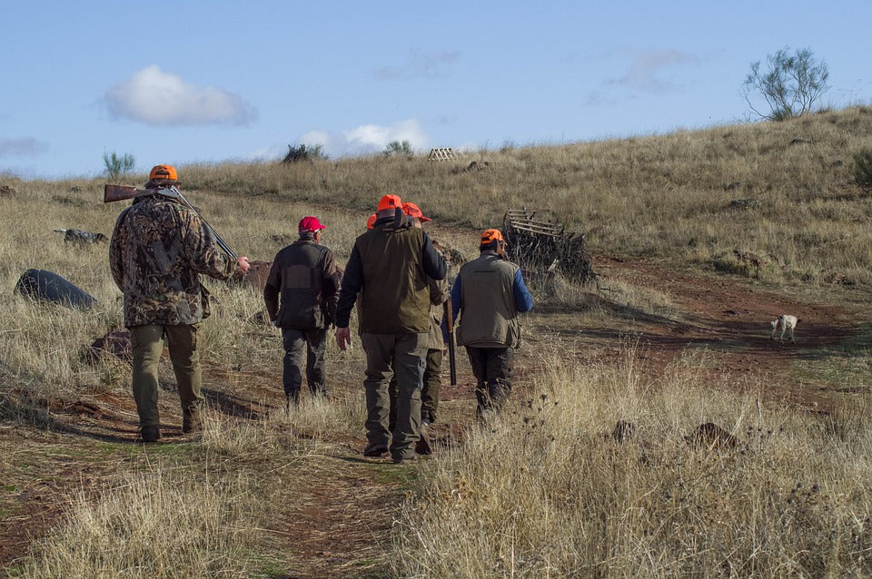 group hungting moose shot gun