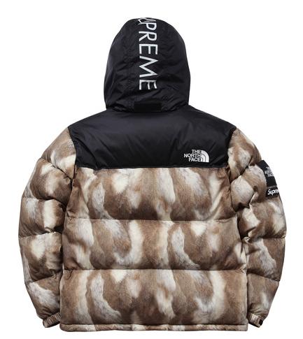 supreme north face fur