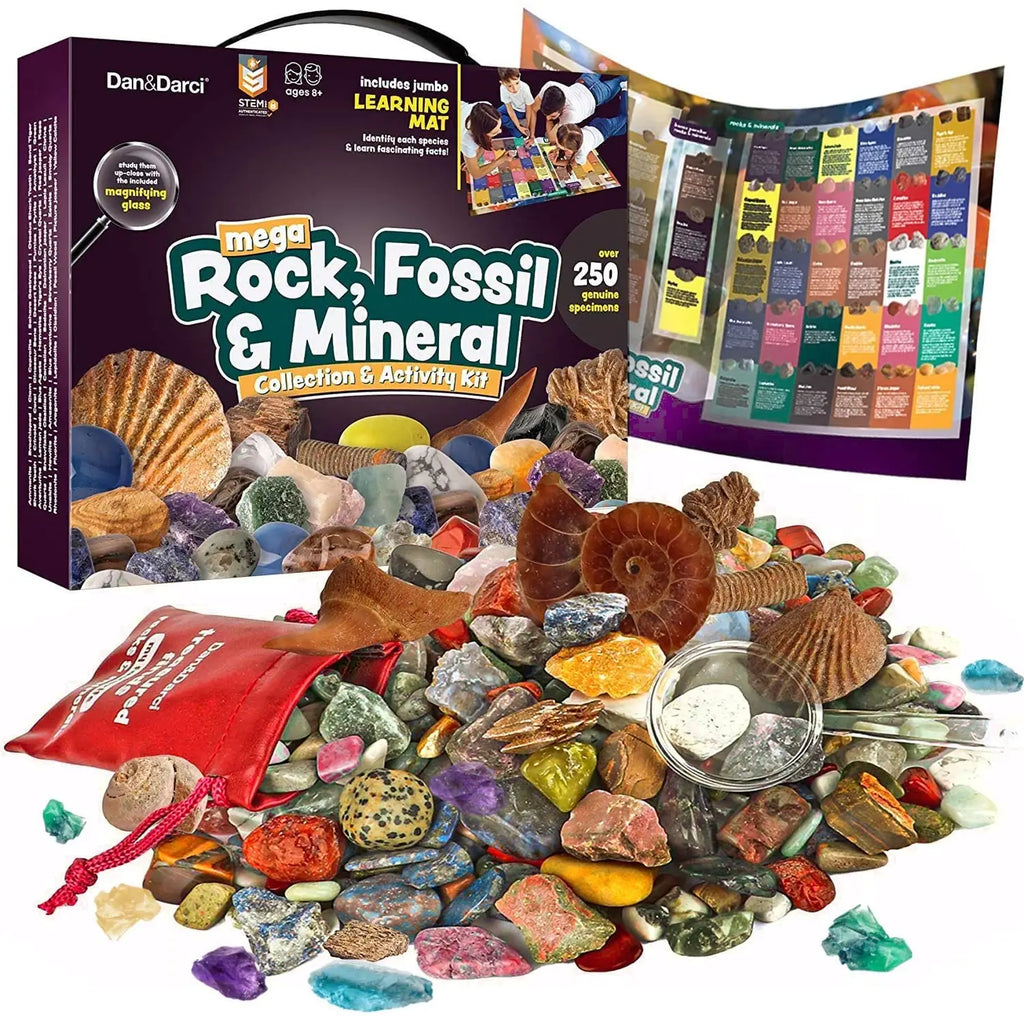 Fossil Dig Kit –