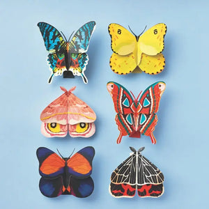 Moth & Butterflies Paper Craft Kit - The Science Museum of Minnesota