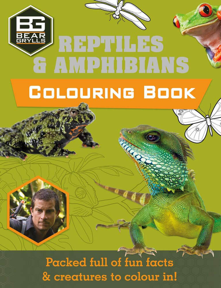 Bear Grylls Books - Activity Books for Kids