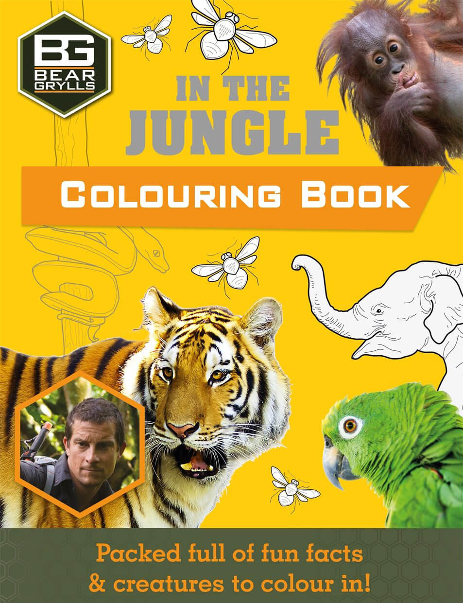 Bear Grylls Books - Activity Books for Kids