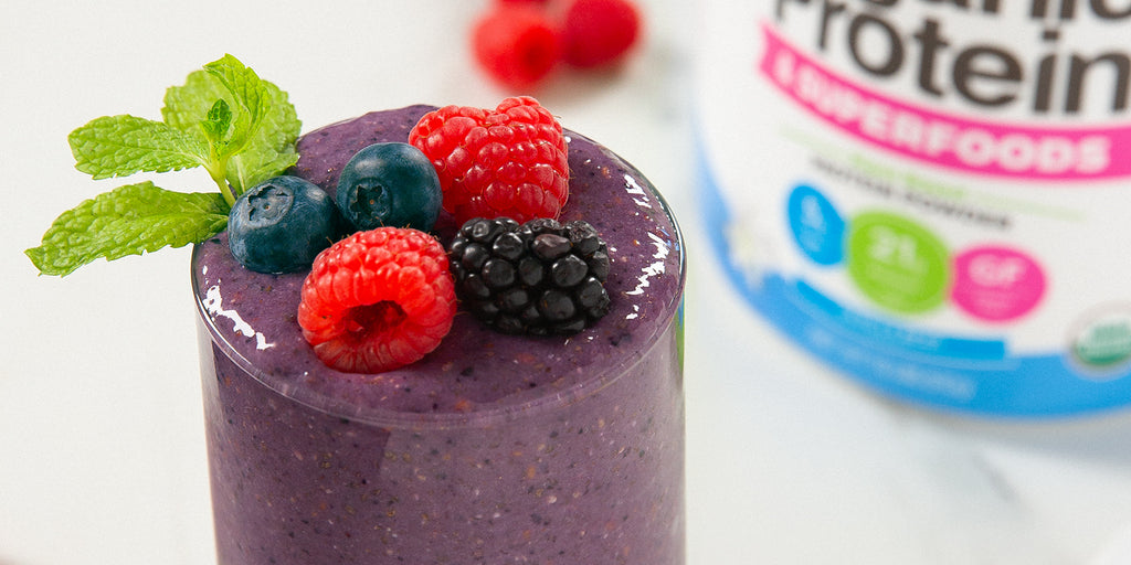 Vanilla Protein Berry Smoothie - Plant-Protein Smoothie – Orgain