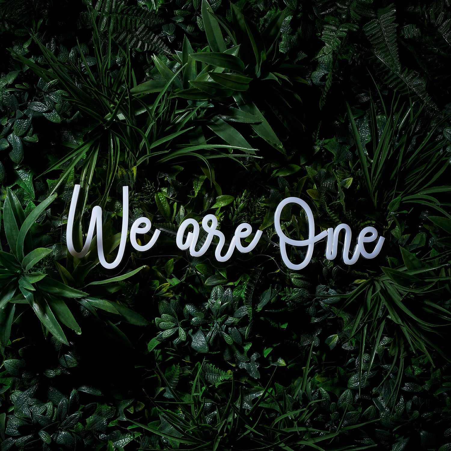 LED Neon Schriftzug We are One | Lights4fun.de