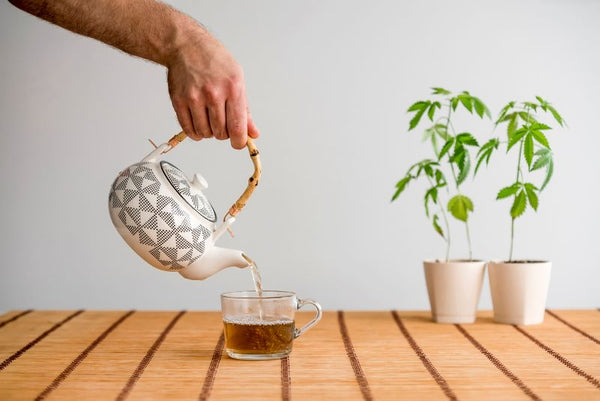 how to make CBD tea 