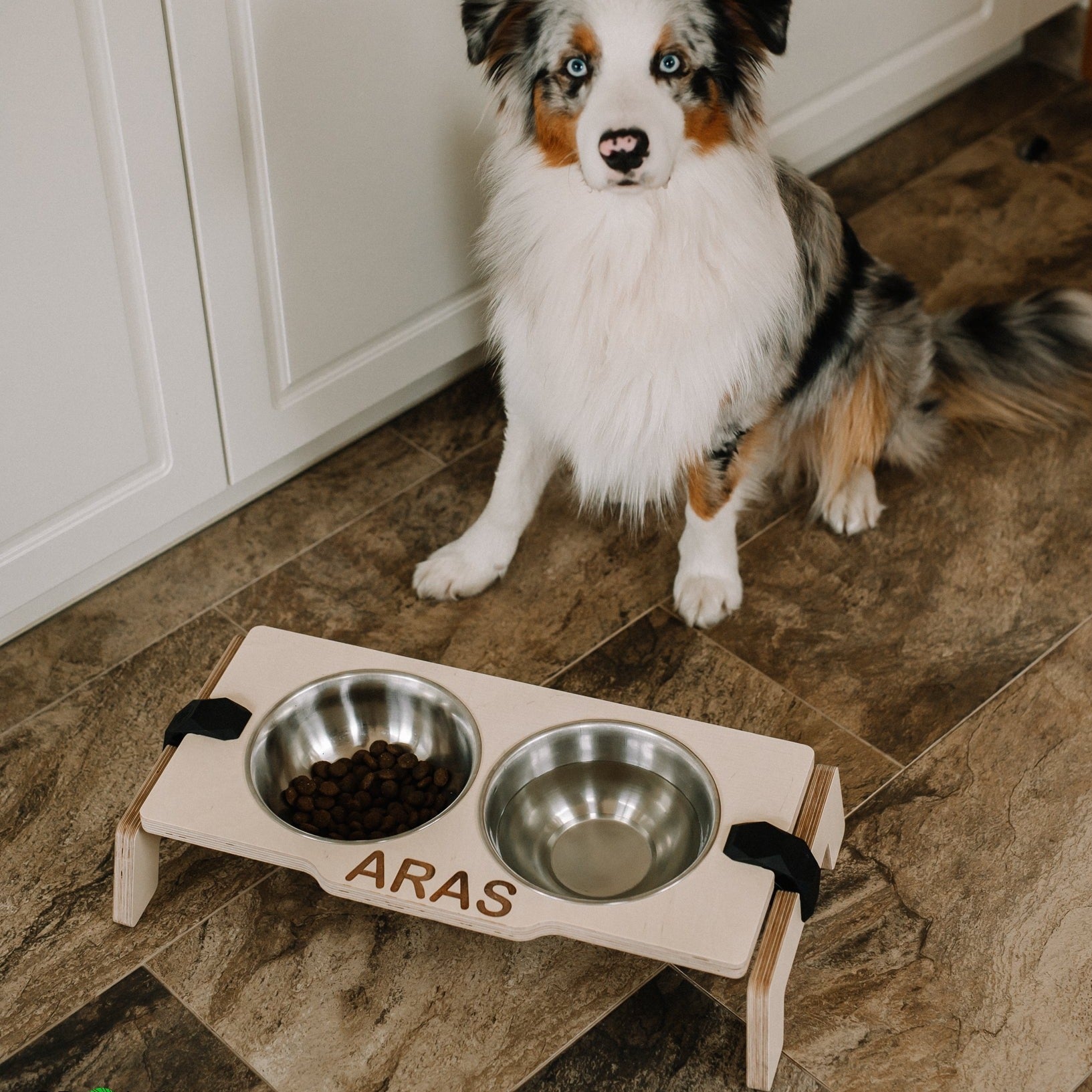 raised dog feeder bowls