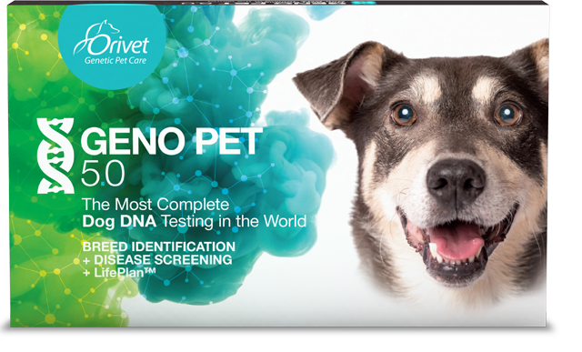 GENOPET 5.0 – Orivet Genetic Pet Care LLC