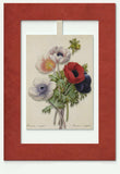 5 Anemone Mini Swing Elegant Blank Greeting Cards with Floral Designs for All Occasions