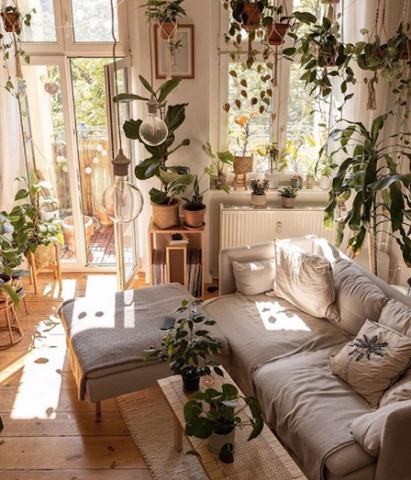 living room with hanging plants and pendants