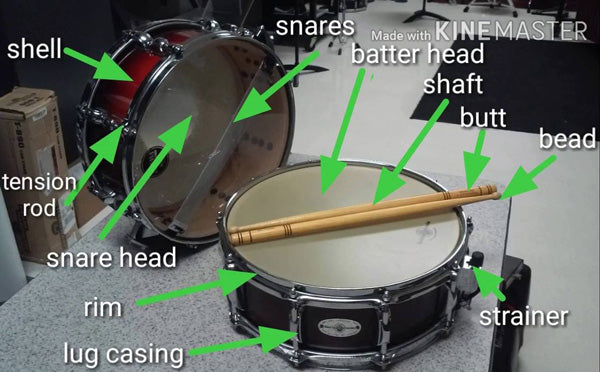 parts of a snare drum with labels