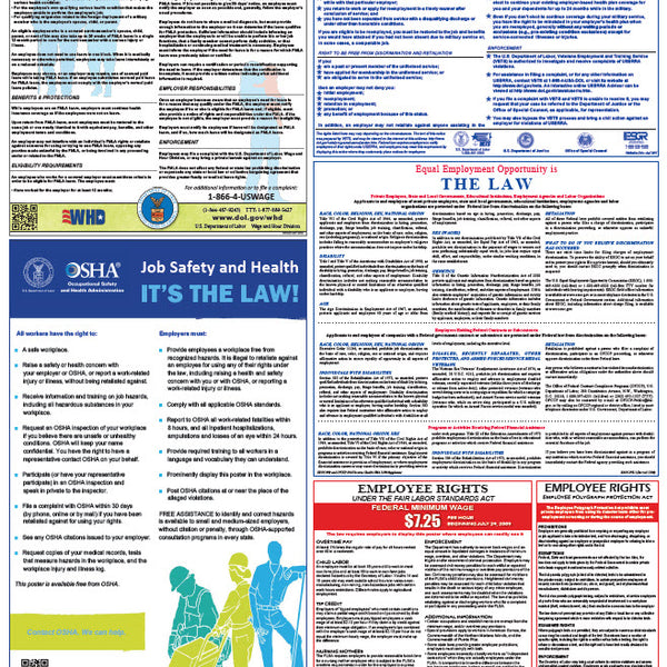 Federal & State Labor Law Poster | Safety, HR and Management Training ...