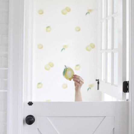 Lemon Wall Decals