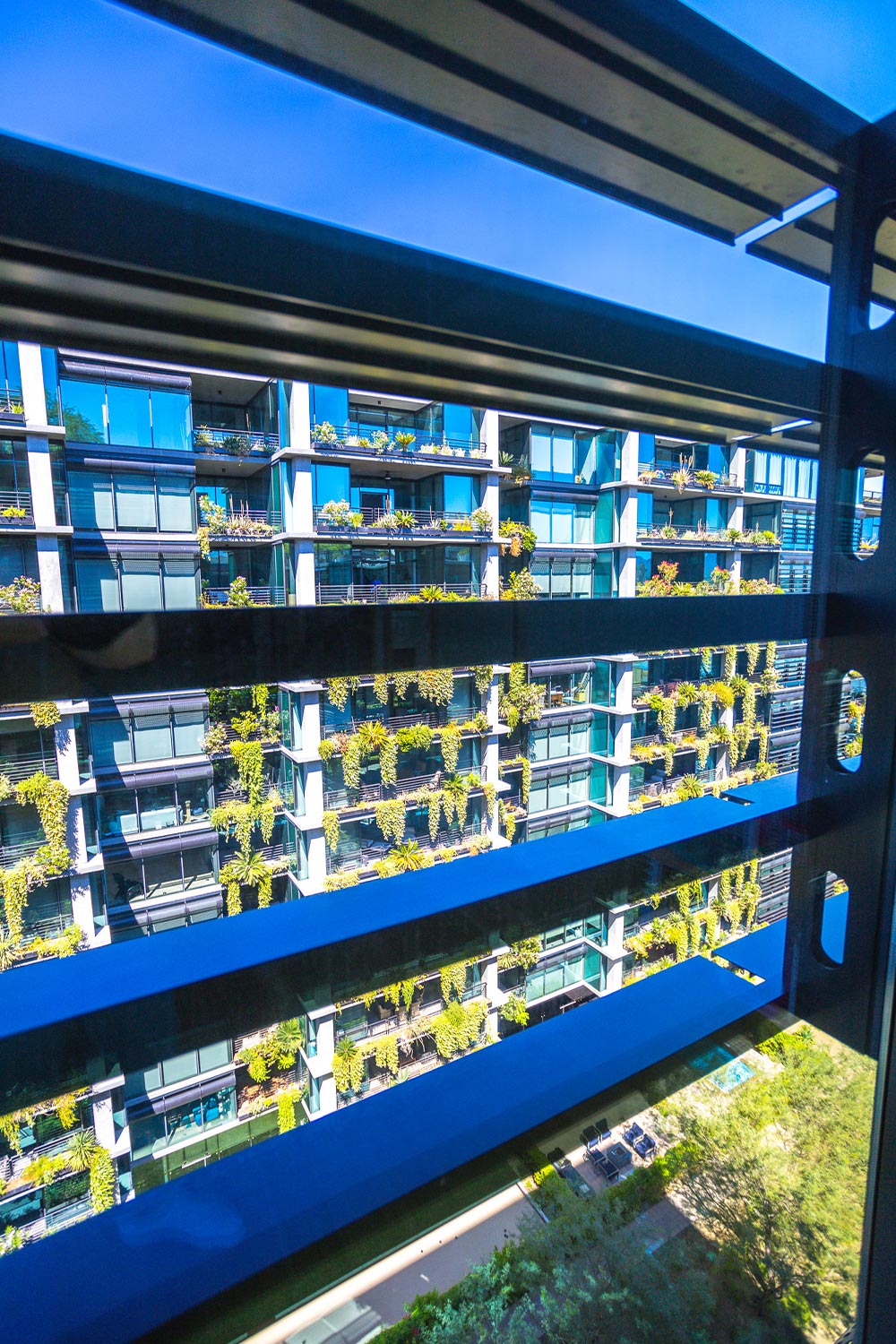 View of Optima Kierland from kids bedroom window. Balconies are cover in greenery and plants.