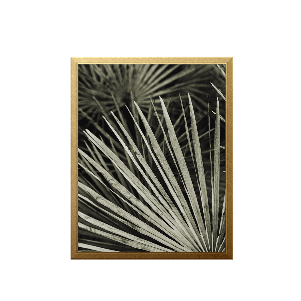 tropical-leaf-art-prints-urbanwalls