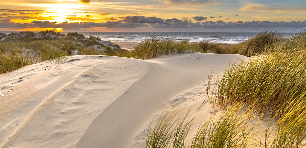 Duinen Waddeneiland aan de Noordzee