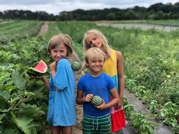 Kids eating watermelon at Morning Glory Farm