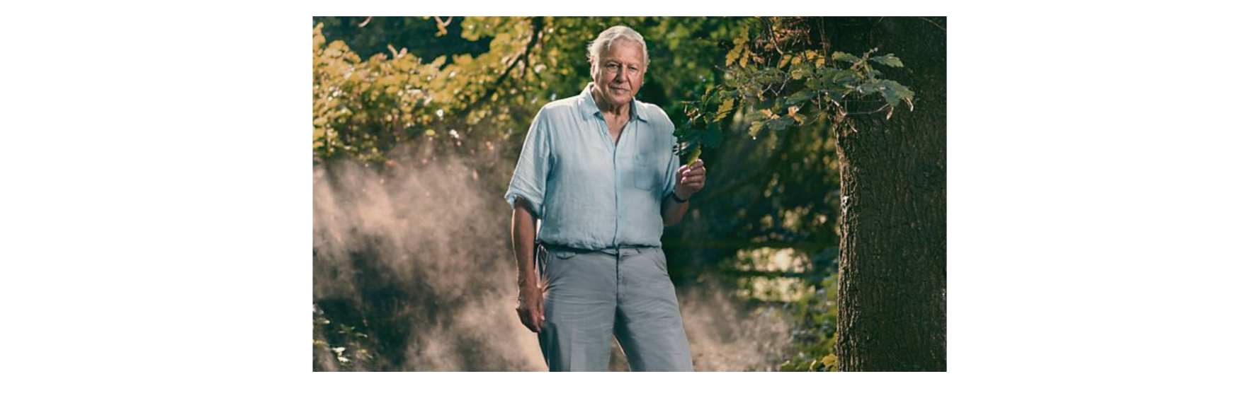 David Attenborough in woods