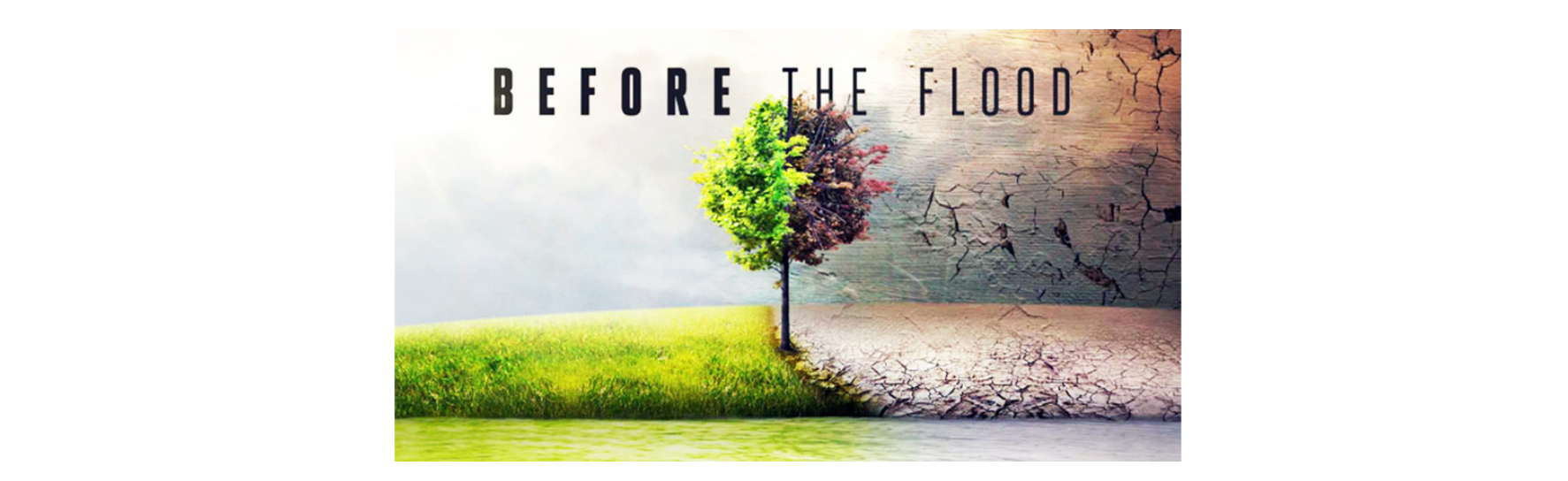 before the flood cover