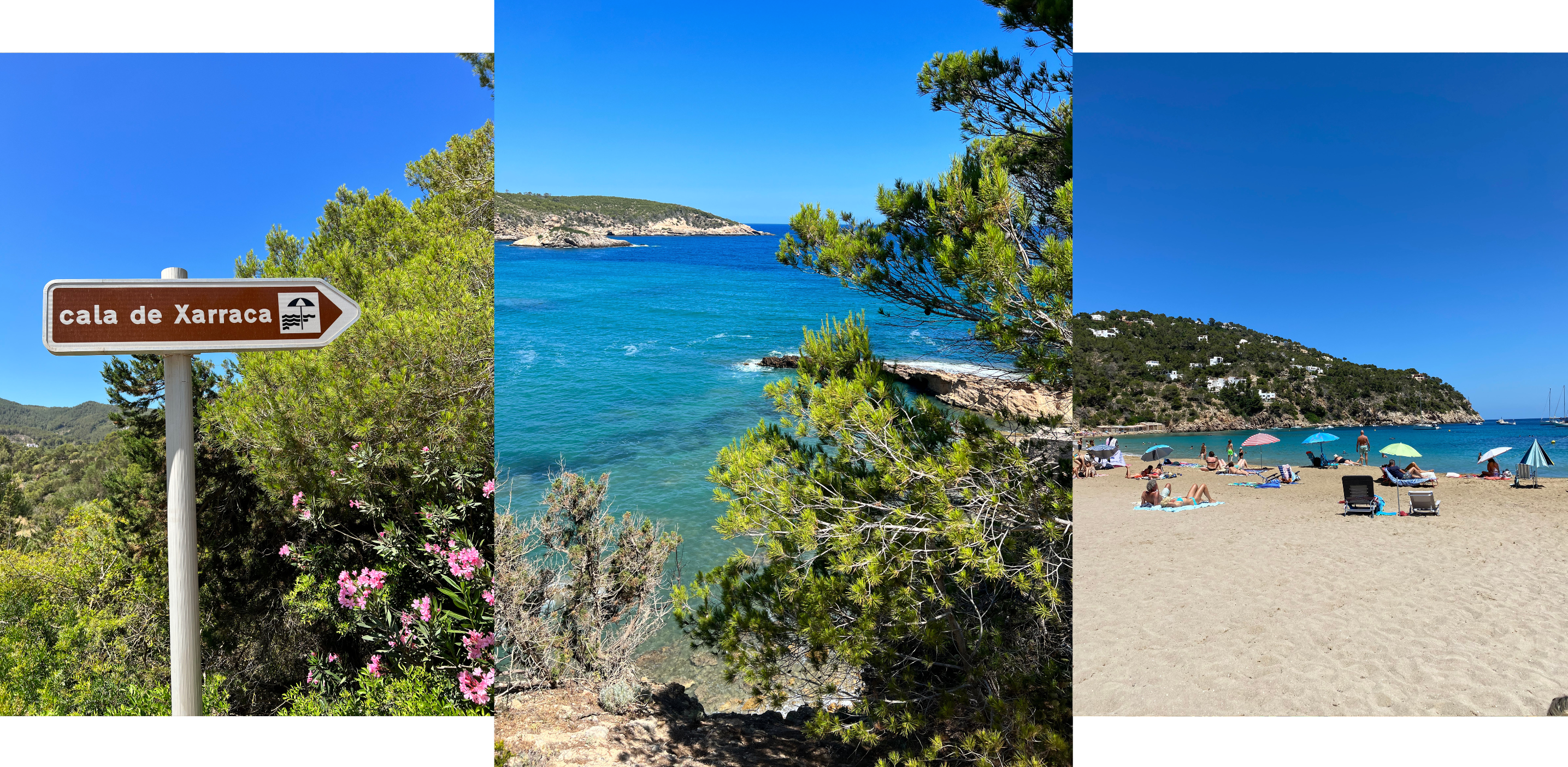 collage of Ibiza beaches