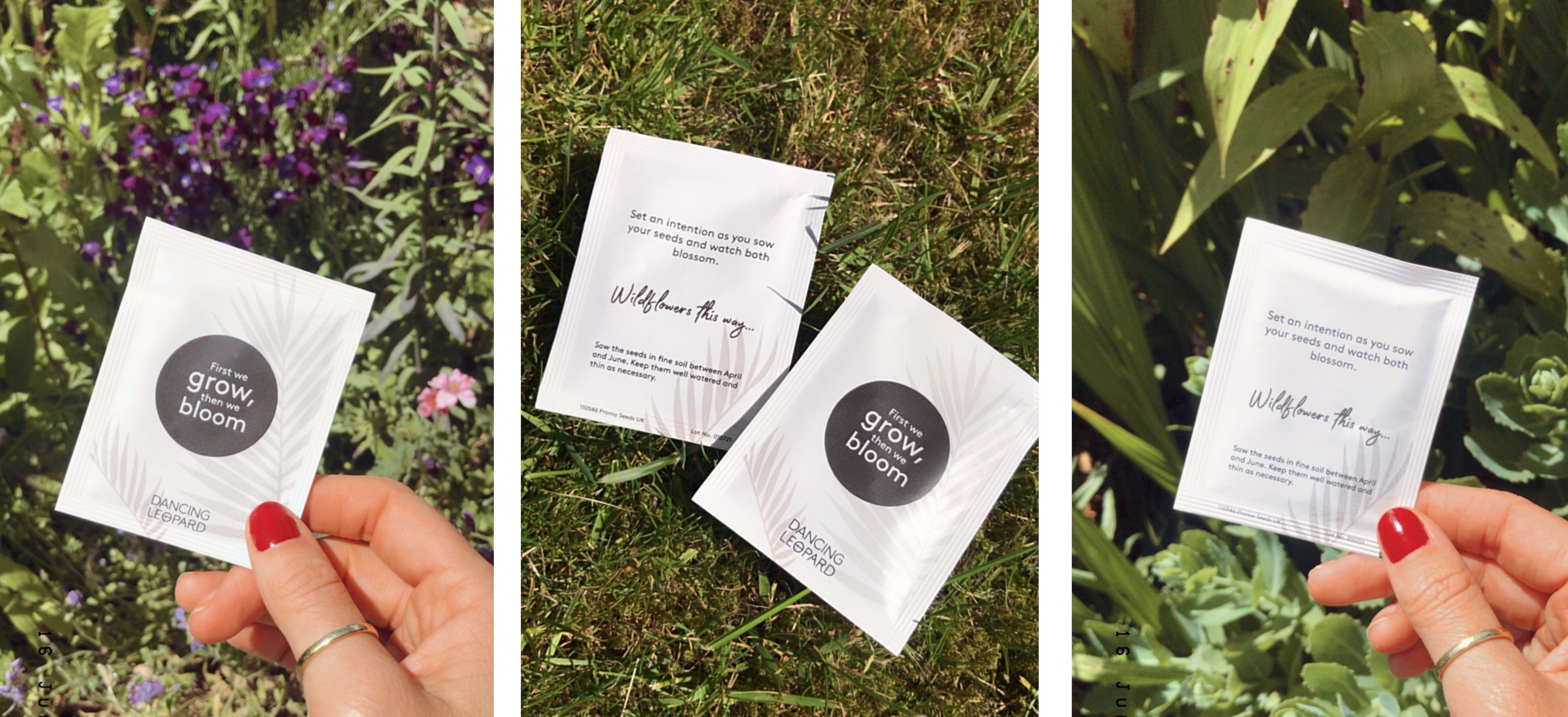 collage of images showing a hand holding wildflower seeds packet