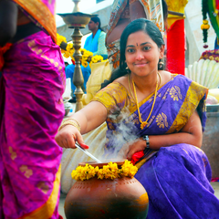 Pongal celebrations