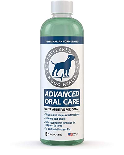 dog mouthwash