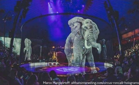 Holographic elephant as featured in Circus Roncalli