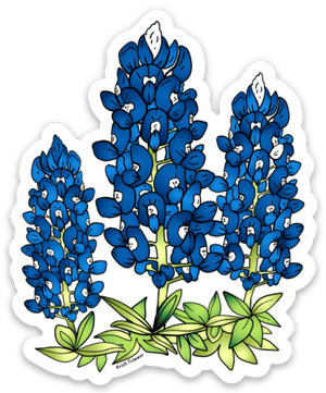 Flowers - Forget Me Not – Alaska Wild & Free