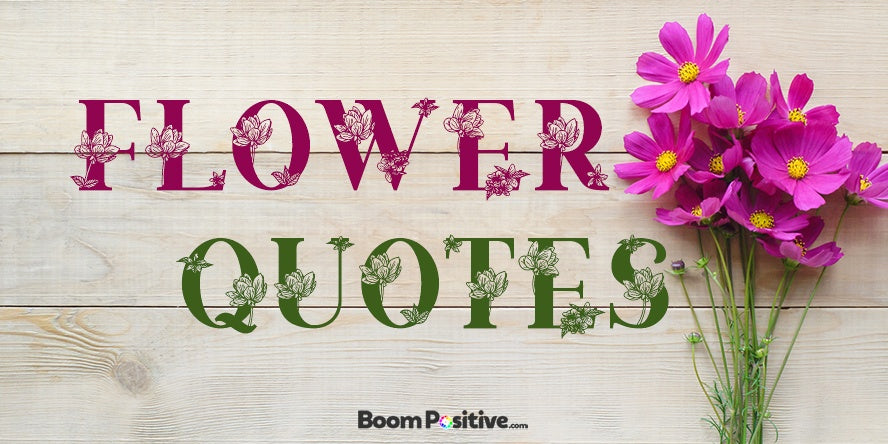 Flower Quotes 100 Scented Quotations About Flowers Boom Positive