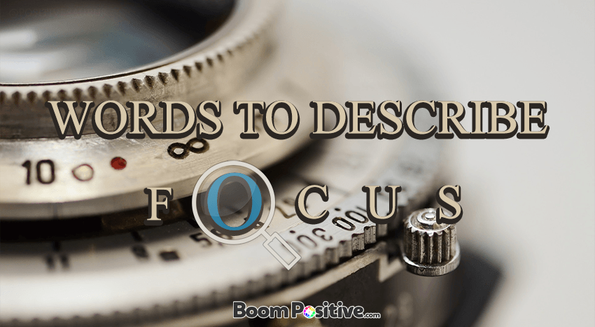 focused synonym